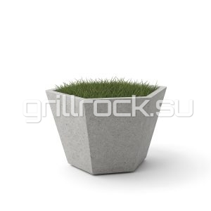 Bазон “Киото”