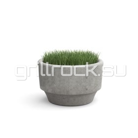 Bазон “Вега”